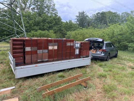 Ein silberner Kombi steht auf einer Wiese mit geöffnetem Kofferraum. Er ist an einen Anhänger gekoppelt, der voll mit braunen Bienenkisten beladen ist, die jeweils mit Honigräumen bestückt sind. Die Kästen sind mit Gurten befestigt. Im Hintergrund ist ein Strommast zu sehen, und das Gelände grenzt an ein Waldstück. Im Vordergrund liegt ein hölzernes Gestell auf dem Boden.