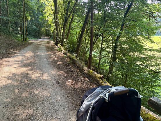 Das Foto fängt den Eindruck eines ruhigen, sonnigen Spaziergangs durch die Natur ein. Es ist aus der Perspektive (also quasi aus den Augen) der spazierenden Person aufgenommen.

Im rechten, unteren Vordergrund – ganz nah am Betrachter – ragt ein Teil eines Kinderwagens ins Bild. Man sieht das aufgespannte Verdeck, das aus schwarzem und hellgrauem Stoff besteht, sowie ein Stück des Griffs, der eine braune, lederartige Oberfläche hat. Das vermittelt das Gefühl, dass man selbst gerade diesen Wagen…